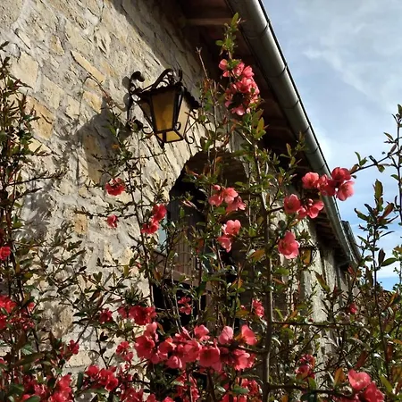 Le Voilà Bed & Breakfast