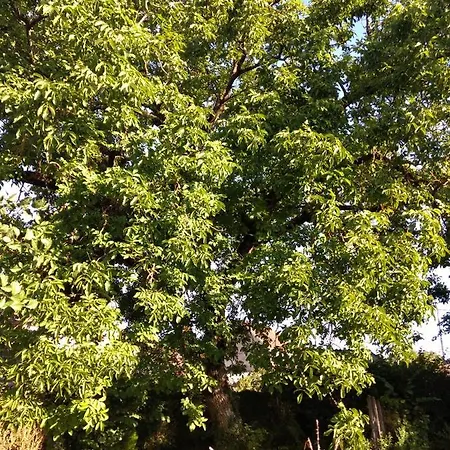 Le Voila 3* Melay (Haute-Marne)