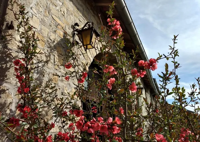 Le Voila Bed and Breakfast