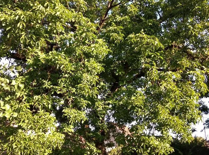 Le Voila 3* Melay (Haute-Marne)